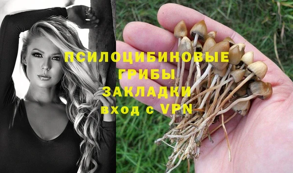 гашик Балахна