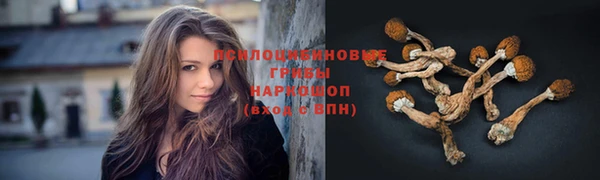 герыч Белокуриха