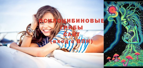 PSILOCYBIN Белоозёрский